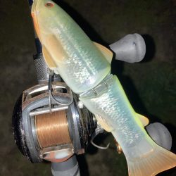 ドブテク練習中