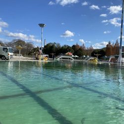 かめプー　1日でガチ勢増えた