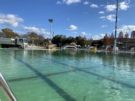 かめプー　1日でガチ勢増えた