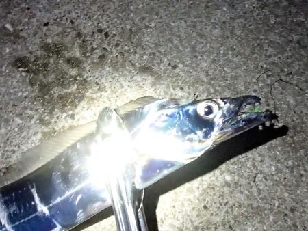 水温低下で？食い込み悪い！