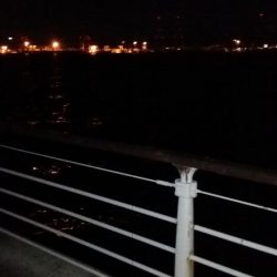 爆風南港タチウオ