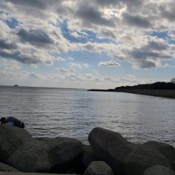冬の海ですね
