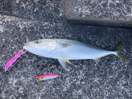 お昼３時でも釣れた〜