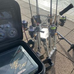 亀岡市かめプー