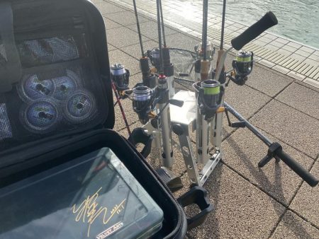 亀岡市かめプー