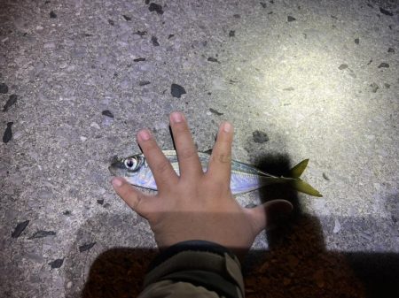 モイカが釣りたかったのに