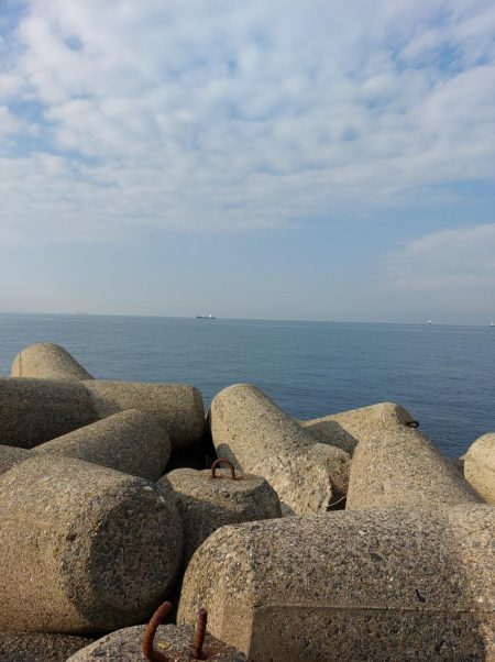 プチsalt water game