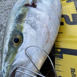 ホーム最終戦‼️