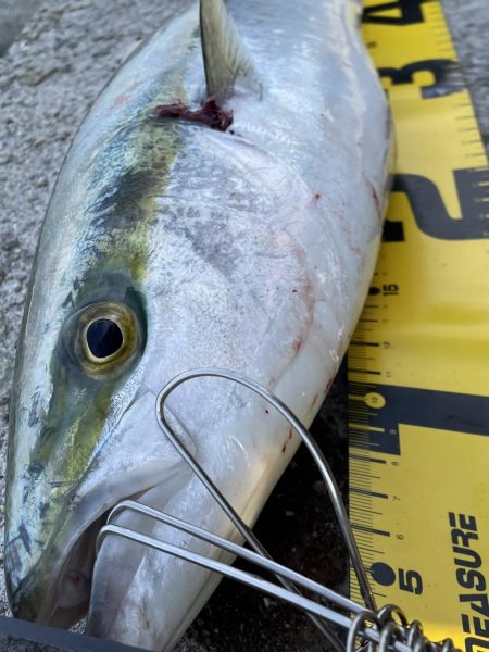 ホーム最終戦‼️