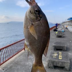 納竿釣行>* ))))><