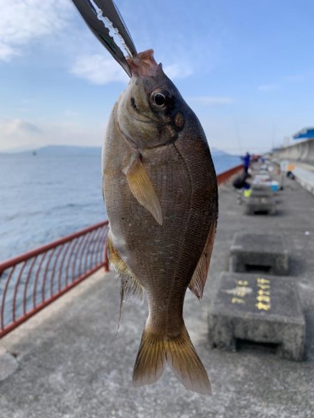 納竿釣行>* ))))><