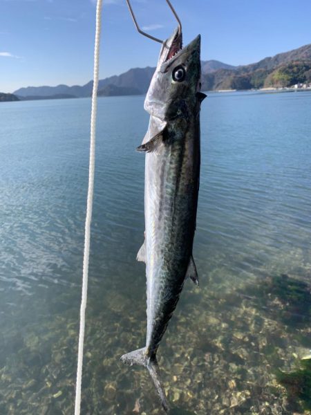 西京焼にしようっと♪