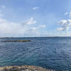 令和三年釣り納め 爆風の中、釣れてよかったー