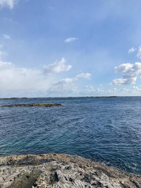 令和三年釣り納め 爆風の中、釣れてよかったー