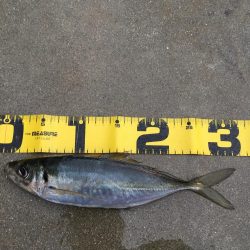 一人ぼっち釣行