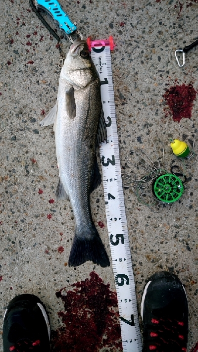 早朝から・・・