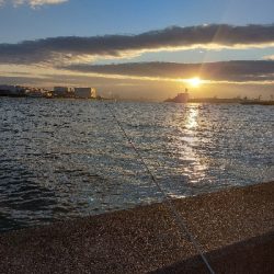 プチsalt water game