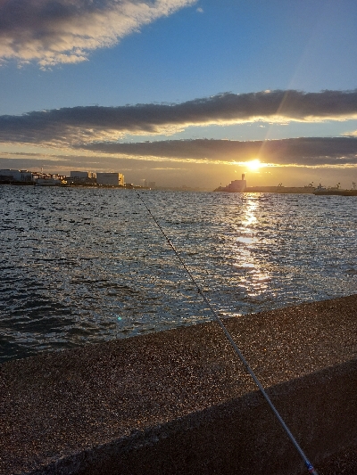 プチsalt water game