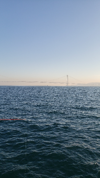 タチウオ釣りたかった!