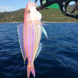 レンタルボード(要免許)釣行