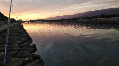 どじょうてんや