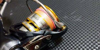 ロックフィッシュゲーム