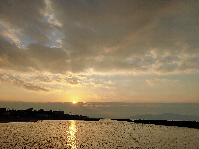 ヒラメ狙いでマゴチが釣れました