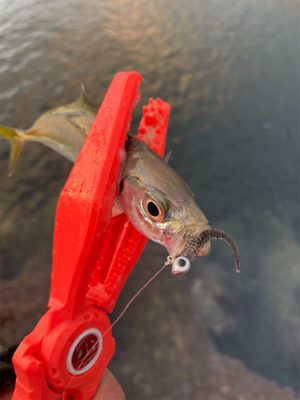 湧いてんなぁ〜