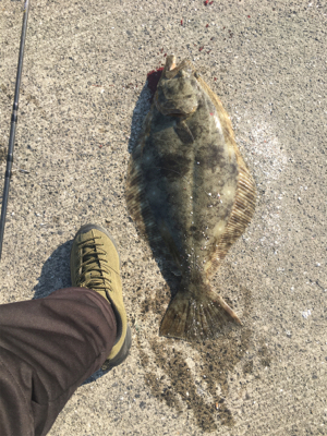 自己最高60センチオーバーのヒラメ