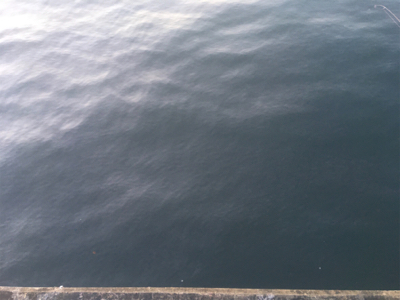 アジサバガシラの三種盛