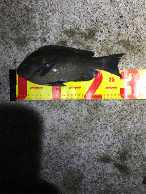 まぁまぁ渋いメバリング