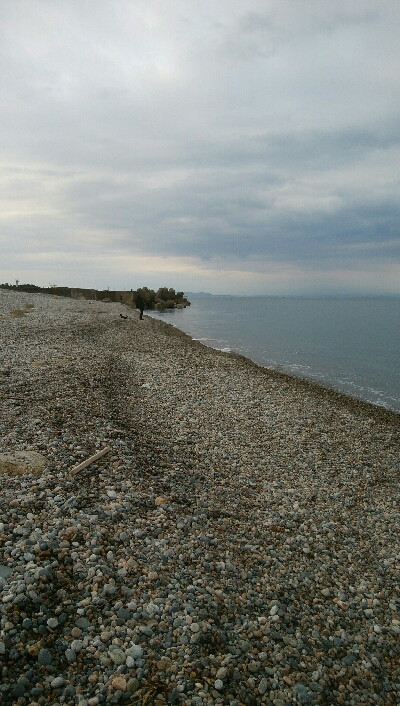 チビハタ1匹　エソ1匹！