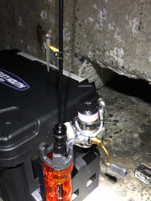 まずまずの釣果