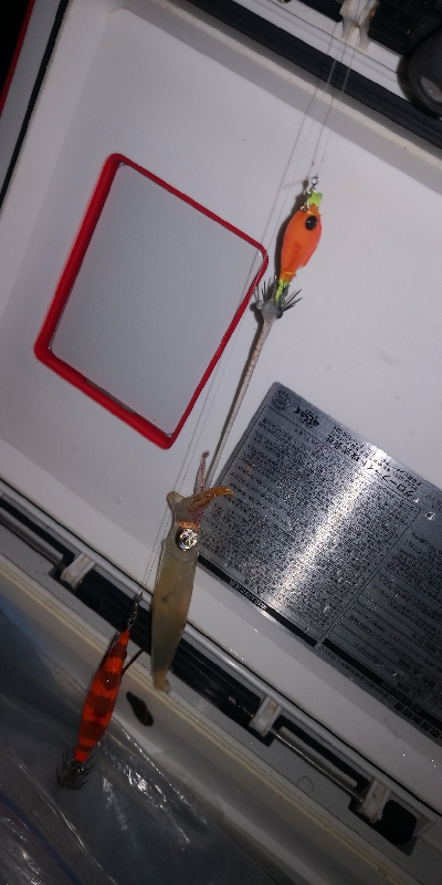 アジング練習351 爆風ライトエギング2