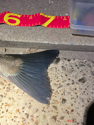 極寒の中、しっかり食ってきた！