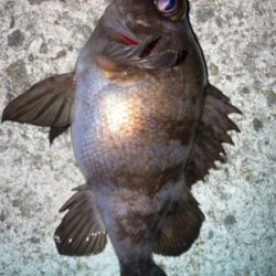 2021ライトゲーム最終戦