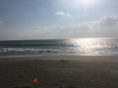 釣り納めはフグ