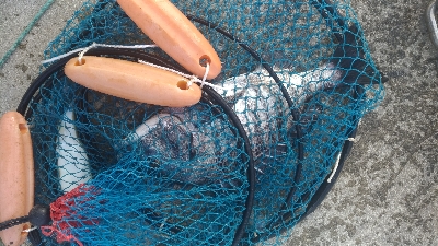 12/25向かい風で苦戦しました。