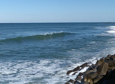 冬晴れの日のサゴシゲーム