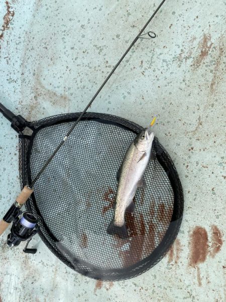 かめプー　本年最終日