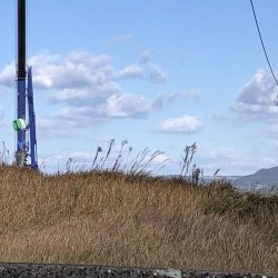 久しぶりに楽しい釣行