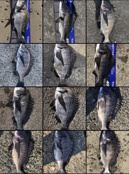 イチノ兄弟、釣果！