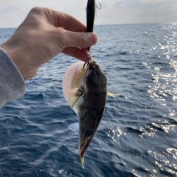 ジギング　7目釣り