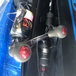 朝マズメのカマス祭り