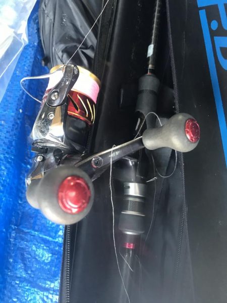 朝マズメのカマス祭り