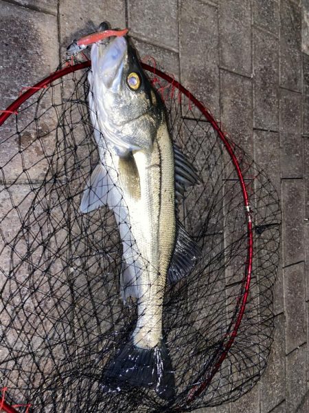 寒さに耐えてランガン