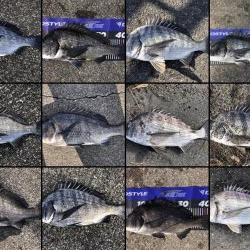 イチノ兄弟、釣果！