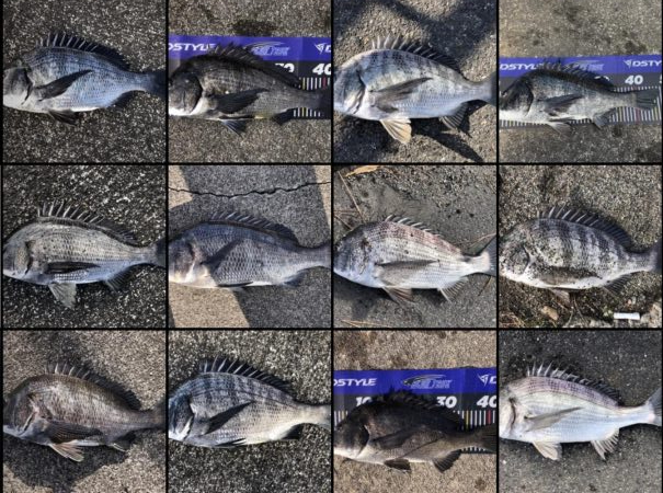 イチノ兄弟、釣果！