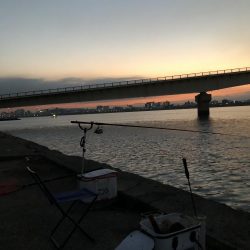 紀の川でフカセ釣り