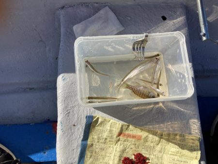 入鹿池でワカサギ釣り